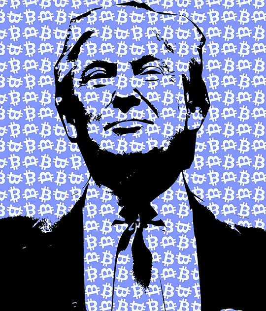 Trump intende cavalcare l’idea che, se verrà eletto, sarà il presidente più favorevole al mondo delle criptovalute.